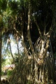 dscn1923.jpg