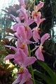 dscn1937.jpg