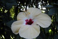 dscn1939.jpg