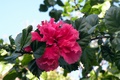dscn1941.jpg