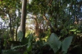 dscn1945.jpg