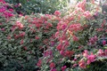 dscn1947.jpg