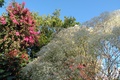 dscn1949.jpg