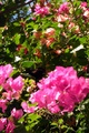 dscn1951.jpg