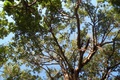 dscn1954.jpg