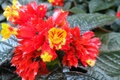 dscn1971.jpg