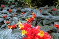 dscn1972.jpg