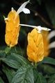 dscn1973.jpg