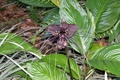 dscn1988.jpg