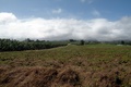 dscn2035.jpg