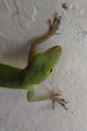 dscn2042.jpg