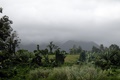 dscn2048.jpg