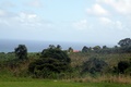 dscn2049.jpg