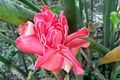 dscn2050.jpg