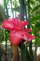dscn2051.jpg