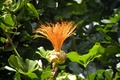 dscn2052.jpg