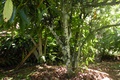 dscn2053.jpg