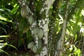 dscn2055.jpg