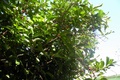 dscn2056.jpg