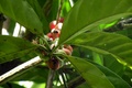 dscn2057.jpg