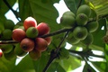 dscn2058.jpg