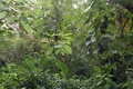 dscn2061.jpg
