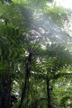 dscn2064.jpg