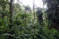 dscn2066.jpg