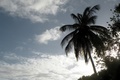 dscn2071.jpg