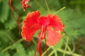 dscn2076.jpg