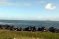 dscn2078.jpg