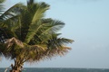 dscn2083.jpg