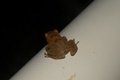 dscn2131.jpg