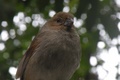 dscn2134.jpg