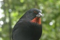 dscn2136.jpg
