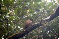 dscn2139.jpg