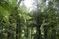 dscn2143.jpg