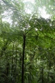 dscn2144.jpg