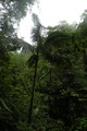 dscn2145.jpg