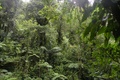 dscn2146.jpg