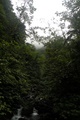 dscn2147.jpg