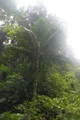 dscn2148.jpg