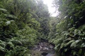 dscn2149.jpg