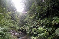 dscn2150.jpg