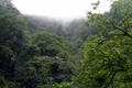 dscn2152.jpg