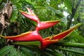 dscn2155.jpg