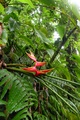 dscn2156.jpg