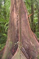 dscn2161.jpg