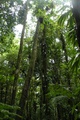 dscn2163.jpg