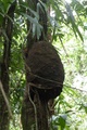 dscn2168.jpg